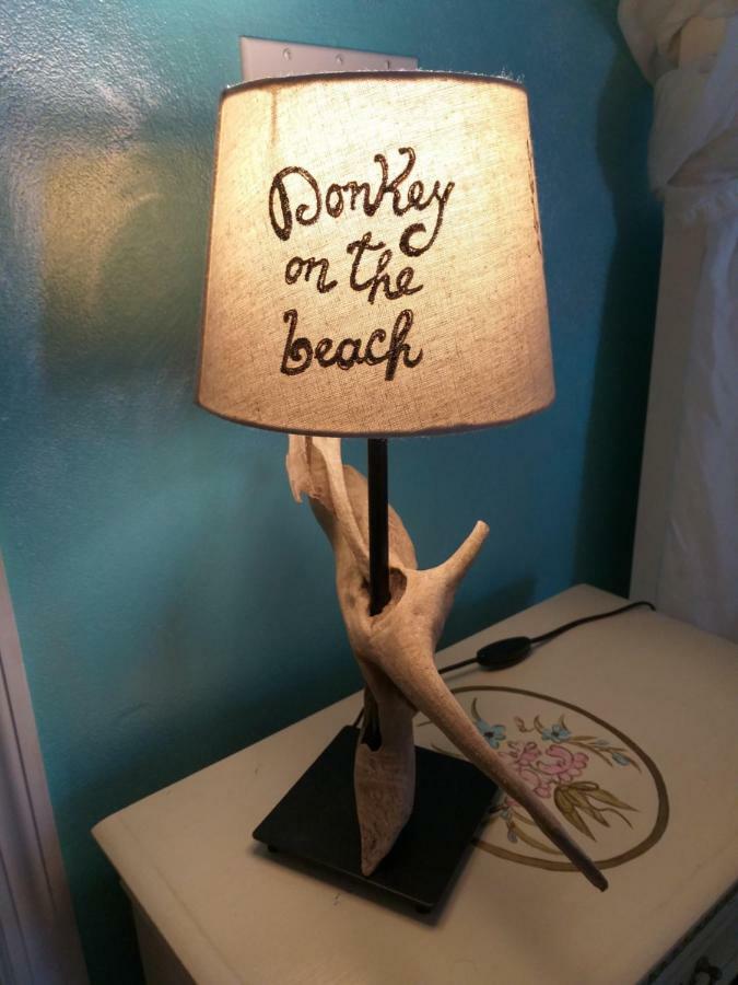 Donkey On The Beach Cobbs Cross Eksteriør bilde